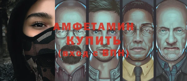 молекула духа Вяземский