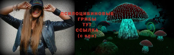 apvp Горно-Алтайск