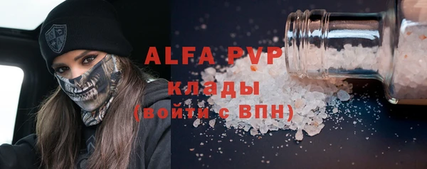 молекула духа Вяземский