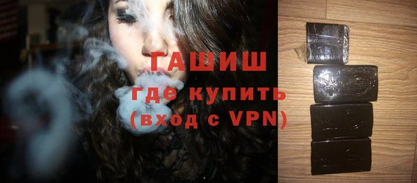 молекула духа Вяземский