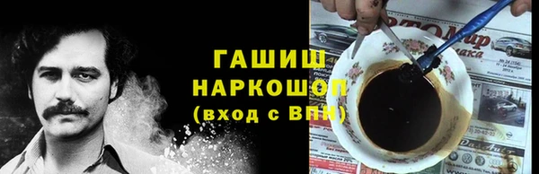 молекула духа Вяземский