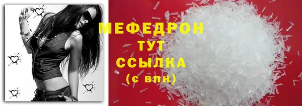 молекула духа Вяземский