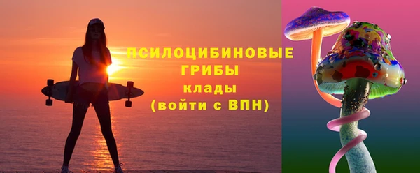 молекула духа Вяземский