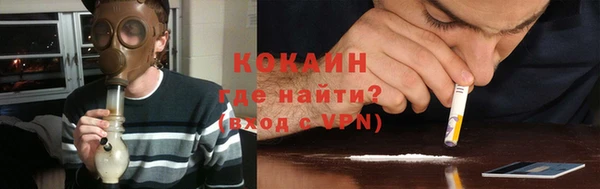 молекула духа Вяземский
