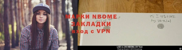 молекула духа Вяземский
