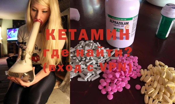 молекула духа Вяземский