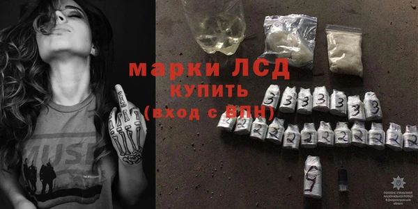 молекула духа Вяземский