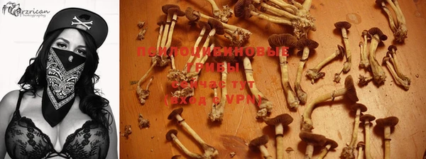 apvp Горно-Алтайск