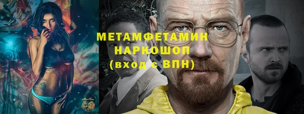 молекула духа Вяземский