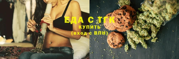 молекула духа Вяземский