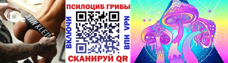 Купить где  Полысаево  Псилоцибиновые грибы GOLDEN TEACHER 